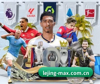 lejing-max.com.cn APP